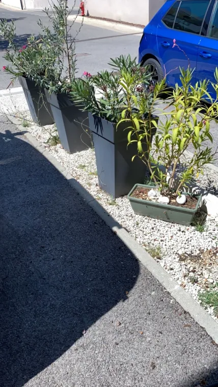 Plantation de et de fleurs