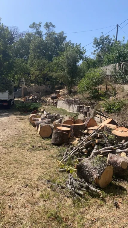Coupe tronc d’arbres avec évacuation ais en Provence , Marseille 16, Canlay Jovanni