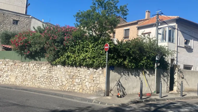 Haies de laurier rose Marseille 13, Marseille 16, Canlay Jovanni
